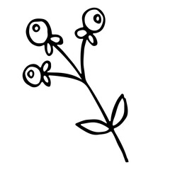 branch with small round berries