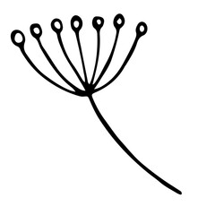 branch with small round berries