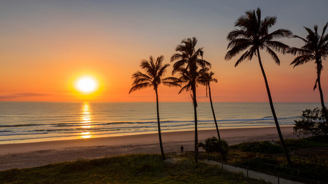 Ocean sunrise with palm tree's by the beach, Main beach Gold Coast.