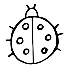 doodle style ladybug