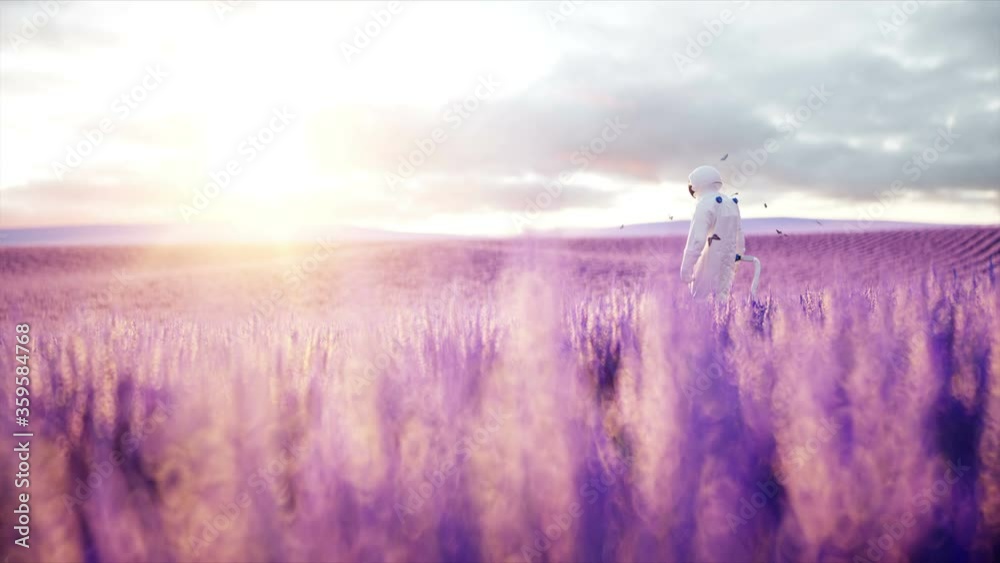 Poster astronaut with butterflies in lavender field. concept of future. broadcast. realistic 4k animation.