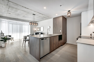 Brand new luxury Canadian style furnished and staged apartment in condominium with lobby, hall, reception room and gym, Beautiful Modern Staged Apartment North American Style, Open Concept