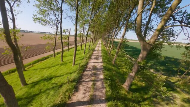 Drone flight above trail with lush green trees by agricultural field in Kortgene