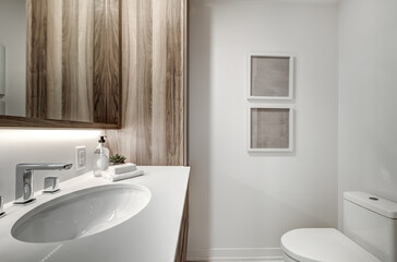 Brand new luxury Canadian style furnished and staged apartment in condominium with lobby, hall, reception room and gym, Beautiful Modern Staged Apartment North American Style, Open Concept