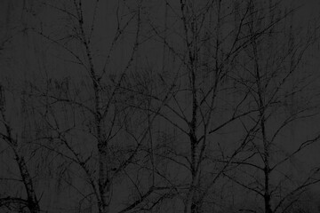 abstract dark grey and black colors background for design