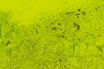 abstract lime and green colors background for design