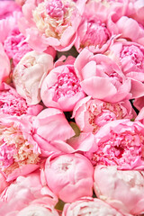 Floral carpet or Wallpaper. Beautiful Pink peony flower for catalog or online store. Floral shop concept . Beautiful fresh cut bouquet. Flowers delivery