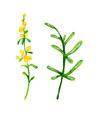 Abstract spring flowers for festive decoration and design. Bright children`s, watercolor illustration, clipart on a white background. Yellow, green plants.