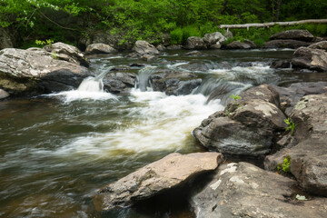 Rapids of the Mount Hope River in Mansfield, Connecticut.