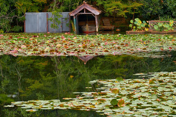 Fototapeta na wymiar Kyoyochi Pond – the water garden of the Ryoan-ji temple. Kyoto.Japan