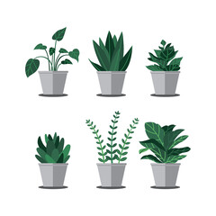 Illustration of interior plants vector The Concept of Isolated Technology. Flat Cartoon Style Suitable for Landing Web Pages, Banners, Flyers, Stickers, Cards
