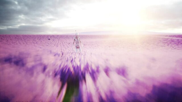 Alien with butterflies in lavender field. concept of UFO. Realistic 4k animation.
