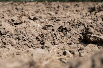 Drought ground, dry soil that come from global warming and greenhouse effect. General environmental issue concept.