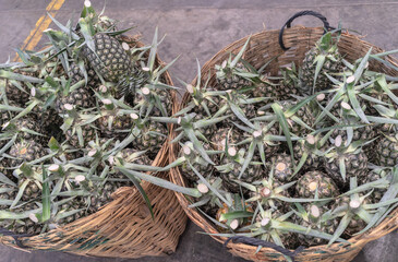 Pineapple in basket on traditional market