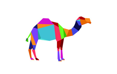 Abstract Geometric Color Camel Vector Image