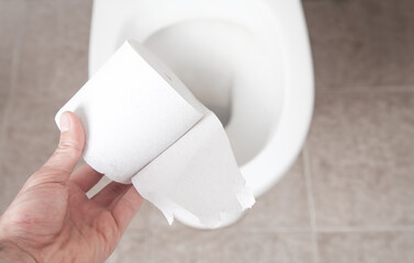Hand holding toilet paper in toilet.