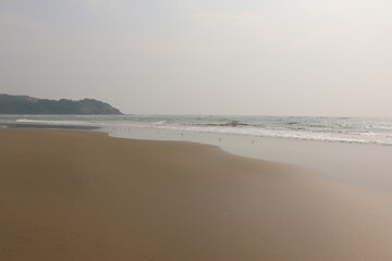 Fototapeta na wymiar birds on the beach, the tide of Goa