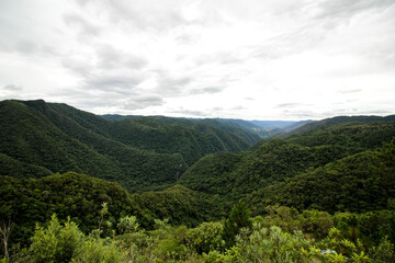 Fototapeta na wymiar Trilha no rio Betary no parque estadual Petar no vale do ribeira estado de são paulo brazil, com chachoeiras, cavernas, árvores, plantas