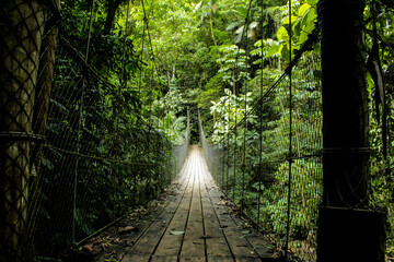 Trilha no rio Betary no parque estadual Petar no vale do ribeira estado de são paulo brazil, com chachoeiras, cavernas, árvores, plantas