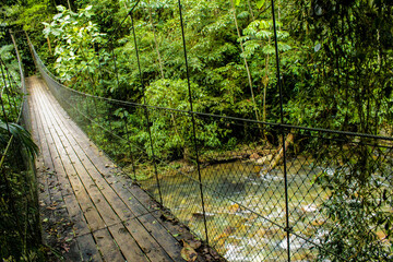 Trilha no rio Betary no parque estadual Petar no vale do ribeira estado de são paulo brazil, com chachoeiras, cavernas, árvores, plantas