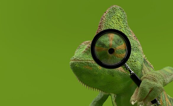 Chameleon is looking through a magnifying glass