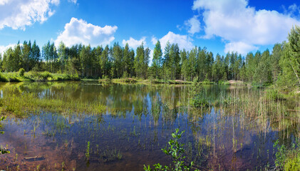 blue sky and clouds reflect in small forest pond