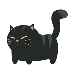 Black cat full body