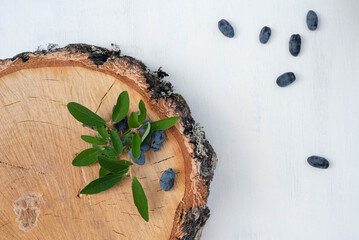 A plate with blue fresh berries of Siberian honeysuckle on a white and wooden background.