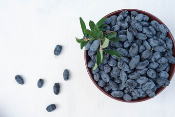 A plate with blue fresh berries of Siberian honeysuckle on a white and wooden background.