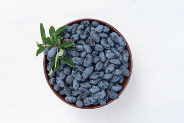 A plate with blue fresh berries of Siberian honeysuckle on a white and wooden background.