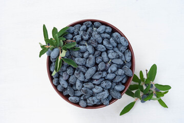 A plate with blue fresh berries of Siberian honeysuckle on a white and wooden background.