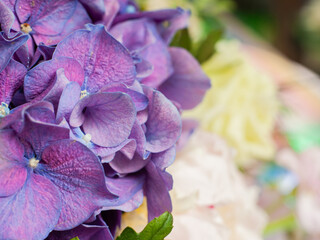Flower bouquet with purple hydrangea. Stylish bouquet as a gift. Small business. Flower sales. Selective focus.