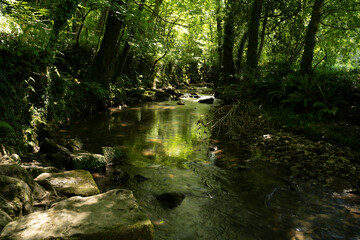 Obraz premium arrazola river in summer