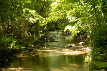 Fototapeta na wymiar arrazola river in summer