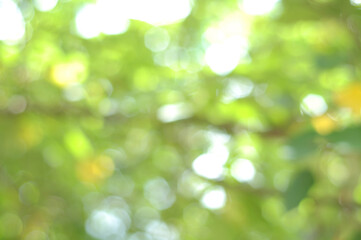 Fototapeta premium Christmas background abstract valentine, glitter bokeh vintage lights, Happy holiday new year, defocused.