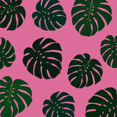 분홍색 바탕의 몬스테라 패턴. 트로피칼. 벡터 일러스트레이션