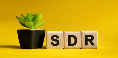 SDR - business financial concept on a yellow background. Wooden cubes and flower in a pot.