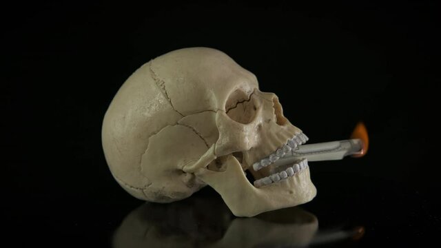 Pull money for nothing. Skull with a burning cigarette made of money in its teeth.
