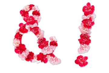 flower font for symbol exclamation mark, ampersand(and) (collection alphabet A-Z set), made from real Carnation flowers pink, red color with paper cut shape of letter. flora font for text, typography