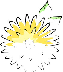 Bright dandelion flower. Minimalism, line art.