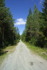 Fototapeta na wymiar Road scene, Finland