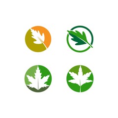 Autum Leaf Logo