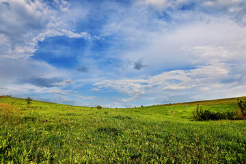 beautiful spring landscape with field