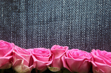 Pink roses on a blue denim background