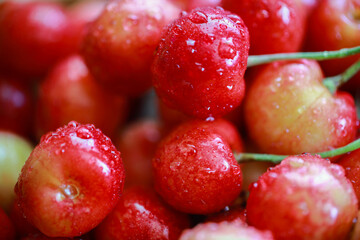 delicious juicy cherries in drops of water