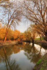 Golden evening on the banks of gently rolling river