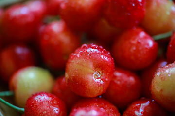 delicious juicy cherries in drops of water