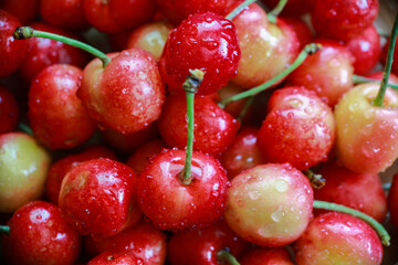 delicious juicy cherries in drops of water