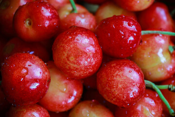 delicious juicy cherries in drops of water