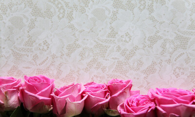 Pink roses on a white background with a faint watermark of flowers